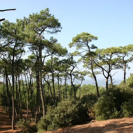 Familiale à 300m De La De L’océan *