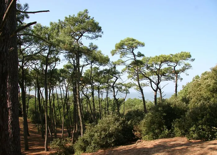 Familiale A 300m De La De L'ocean *